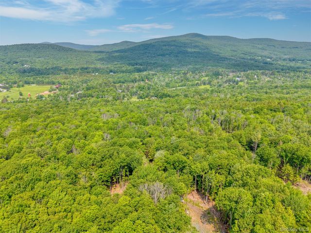TBD Boulder Brook lots 33-38 Road, Windham, NY 12496
