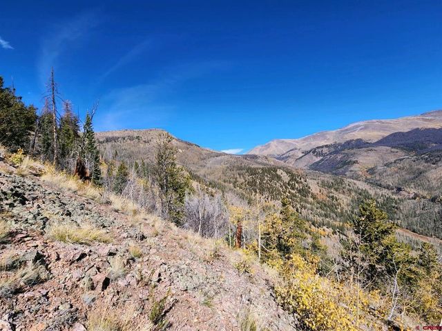 County Road 502, Creede, CO 81130