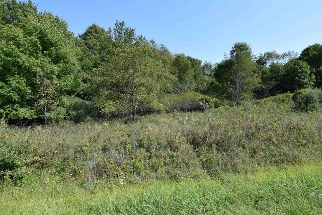 L587 Netherlands Drive LOT 587, La Valle, WI 53941