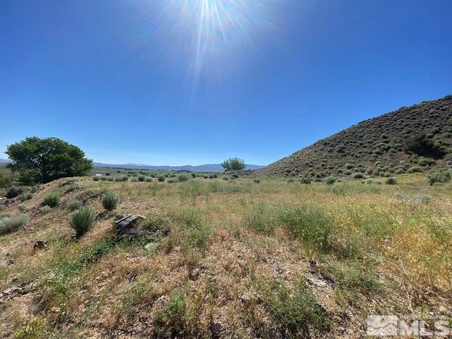 26 Valley View Dr, Wellington, NV 89444