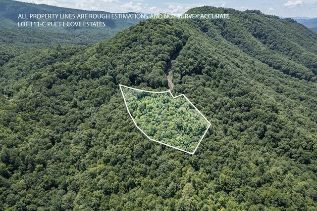 Lot-111C Puett Cove Cir, Marble, NC 28905