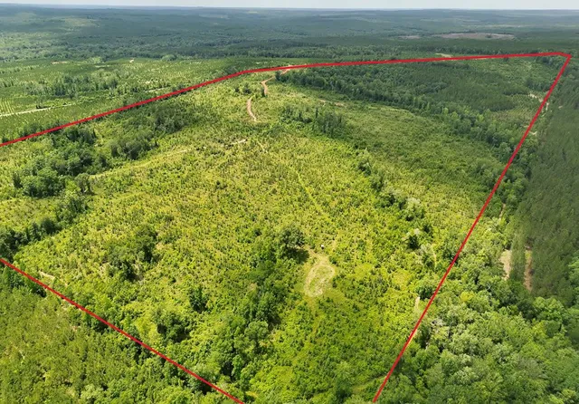 2 Lower Lumpkin Rd, Georgetown, GA 39854