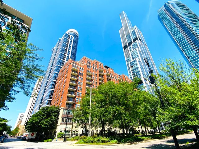 1250 S  Indiana Ave #308, Chicago, IL 60605