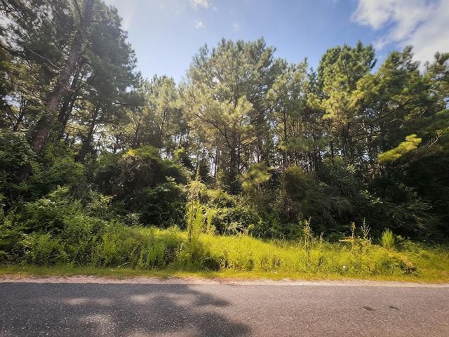Nhn Catfish Dr, Lumberton, MS 39455