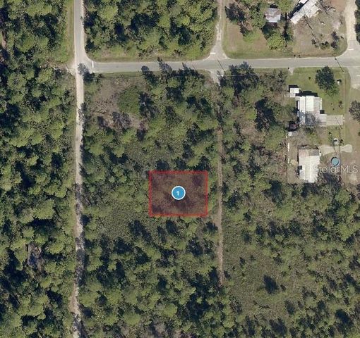 VIRGINIA STREET LOT 8, Paisley, FL 32767