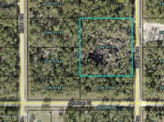 10715 YEAGER (TRACTS 1791 & 1892) Avenue, Hastings, FL 32145