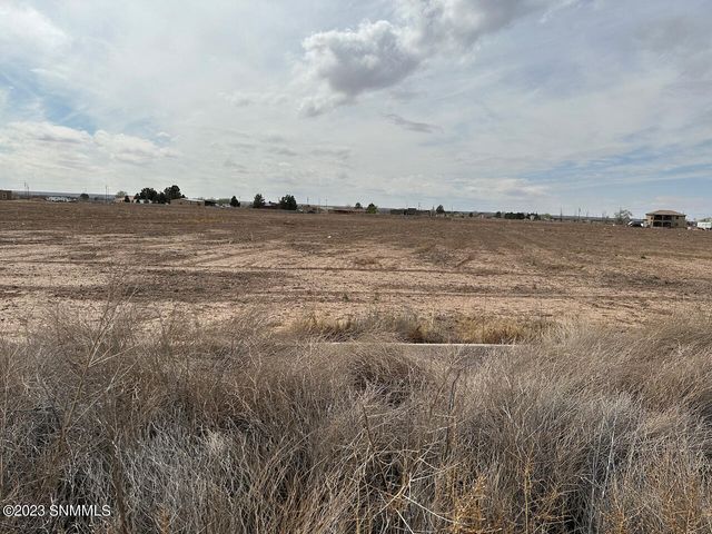 3480 Opitz Rd, Anthony, NM 88021