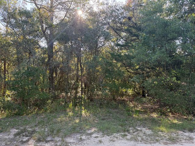 Gustafson Rd, Keystone Heights, FL 32656