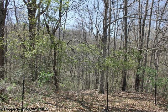 Randolph County, WV Homes For Sale & Randolph County, WV Real Estate