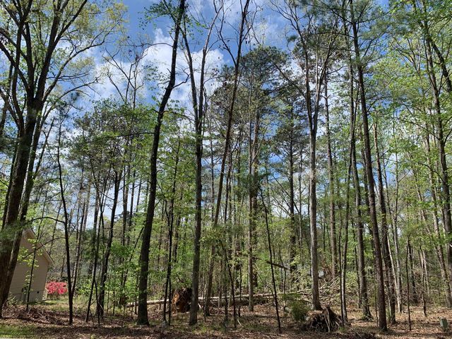 111 Carriage Lane, Mc Cormick, SC 29835