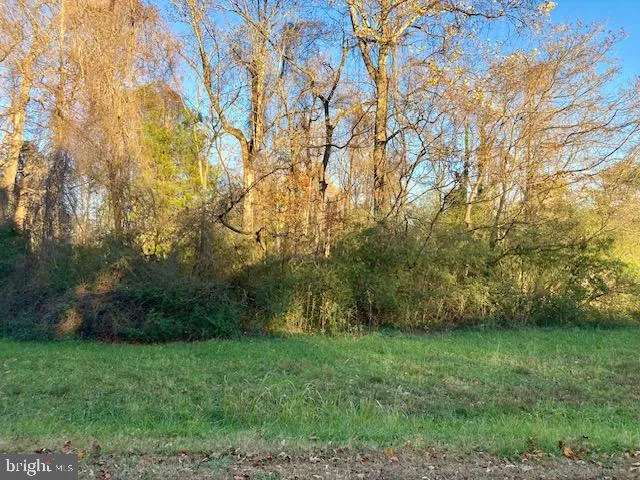 Shingle Hill Rd, Kinsale, VA 22488