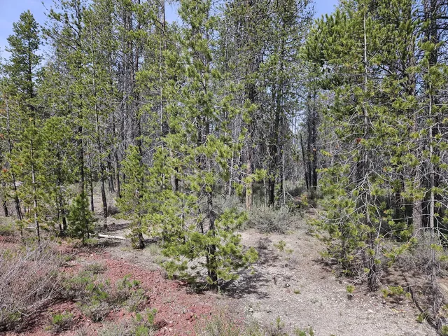 Scott View Dr #7, Chiloquin, OR 97624