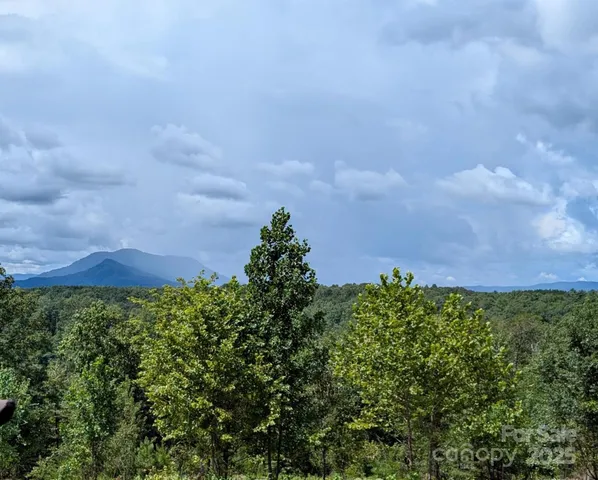 2 Price Summit Way, Mill Spring, NC 28756