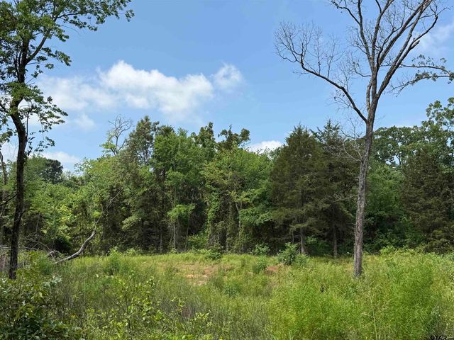 Vz County Road 4608, Ben Wheeler, TX 75754