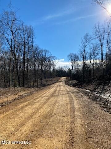 Tate Marshall Rd, Coldwater, MS 38618