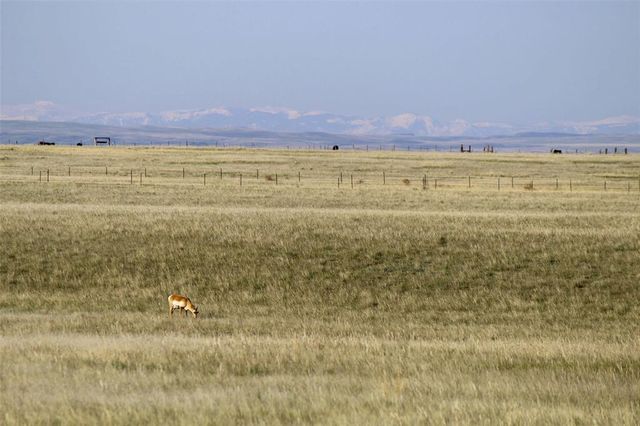 Nhn Antelope Rd, Shawmut, MT 59078