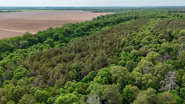 Ashley Rd #196-2, Hamburg, AR 71646