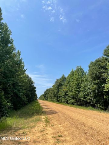 Race Track Rd, Vaiden, MS 39176