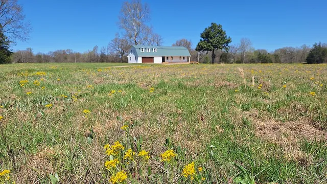 11139 Sheep Farm Rd, Ratcliff, AR 72951