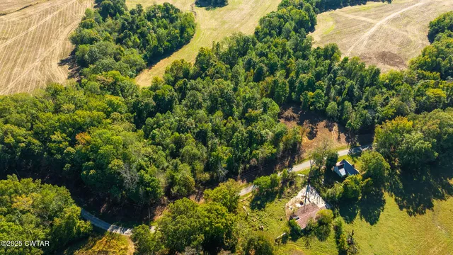 Tract 8 Hearn Rd, Greenfield, TN 38230