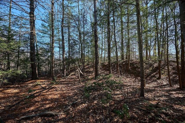 Pine Hill Rd, Russell, MA 01071