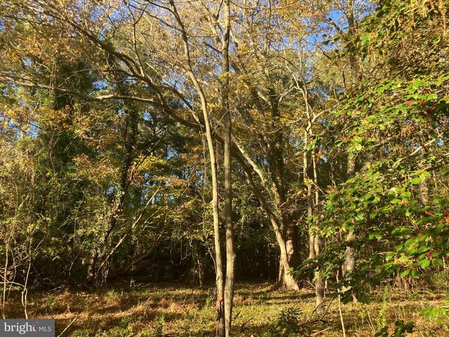 81 Davis Rd, Marion Station, MD 21838