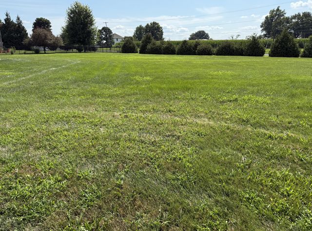 Lot 46 & 47 Cypress Dr, Marshall, MO 65340