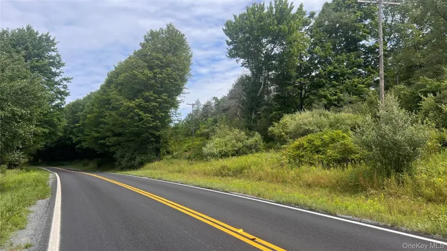 Horseshoe Lake, Lake Bethel, NY 12783