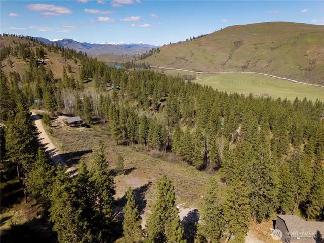 48 Whitebark Lane, Winthrop, WA 98862