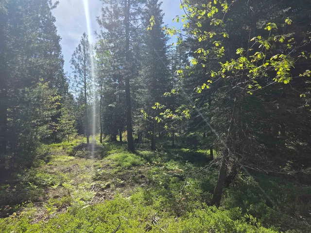 Lot 65 Old Mill Rd, McCloud, CA 96057