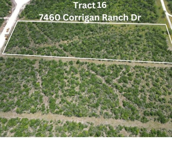 7450 Corrigan Ranch Dr   #16, Skidmore, TX 78389