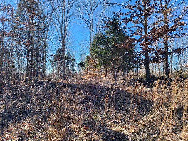 Tennessee Ridge, TN Homes For Sale & Tennessee Ridge, TN Real Estate