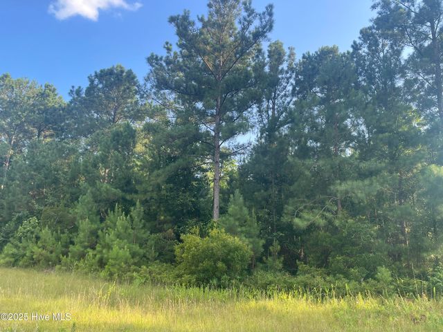 61 Arant Farm Rd #61, Merritt, NC 28556