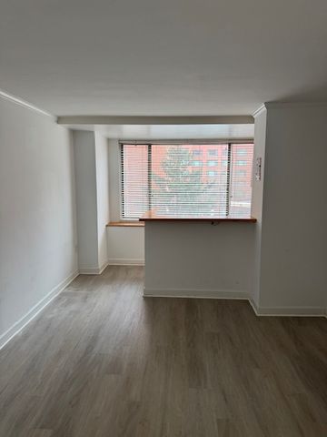 1111 Arlington Blvd #438, Arlington, VA 22209