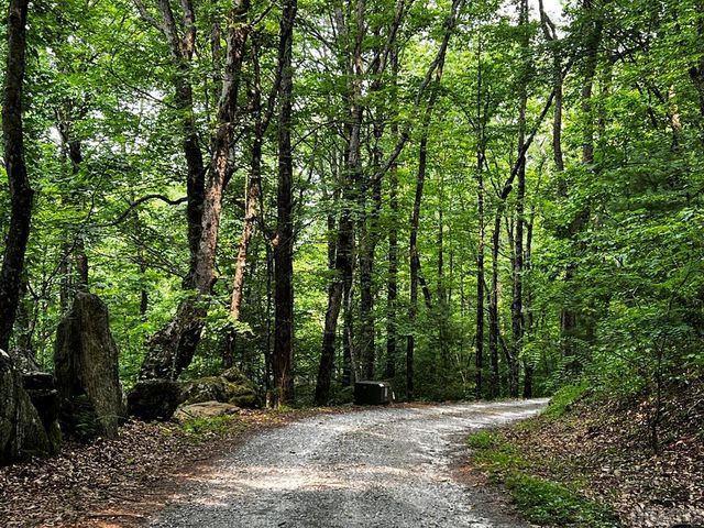 Lot 6 Mountainview Dr, Scaly Mountain, NC 28775
