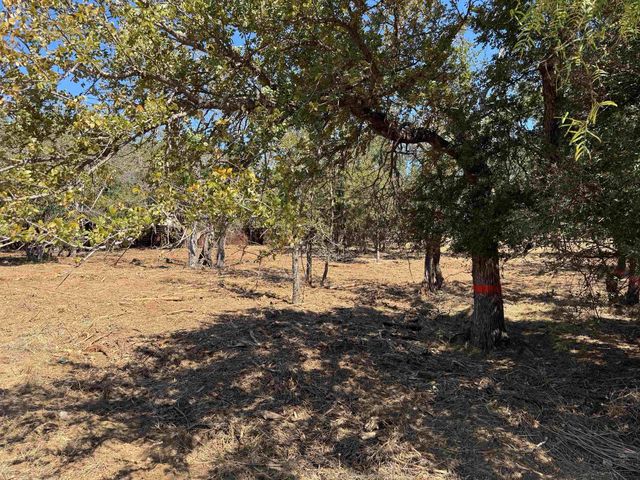 Lots 288 & 289 Maple Drive, Marble Falls, TX 78654