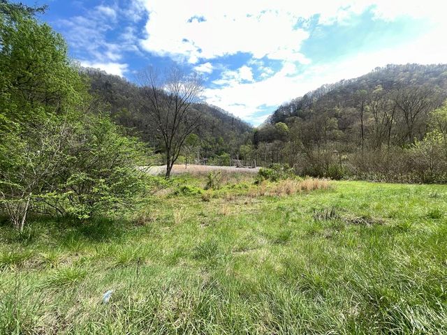 S  Levisa Rd, Mouthcard, KY 41548