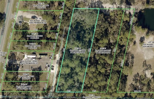 MERRYHILL DRIVE LOT 1, Webster, FL 33597