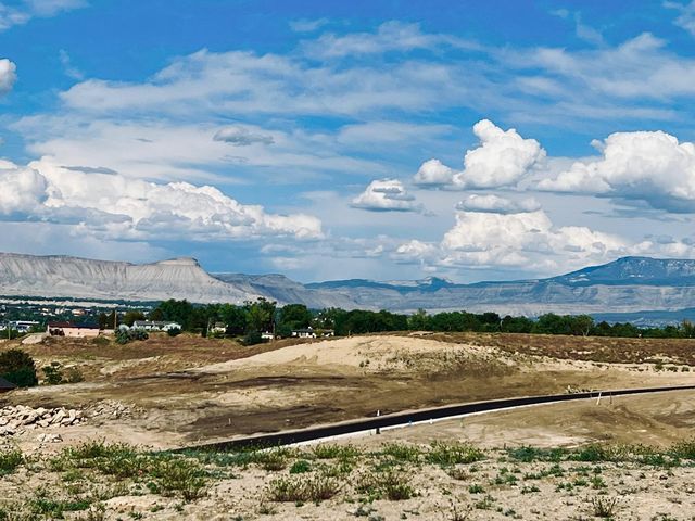2408 Talus Ln, Grand Junction, CO 81507