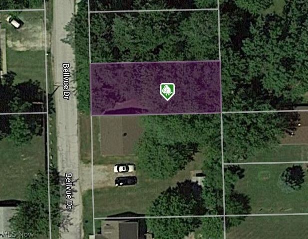V/l Bellevue 30 Ave, Painesville, OH 44077