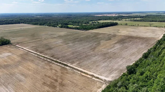 Bran Rd, Oak Grove, LA 71263