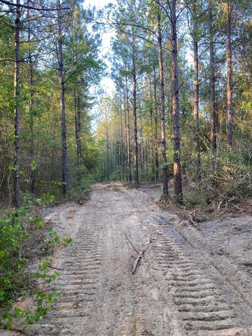 TRACT 517th Acres, Poplarville, MS 39470