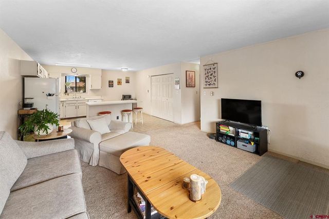 212 S 11th Street #209, Gunnison, CO 81230