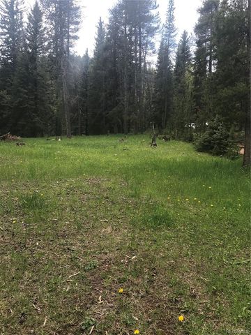 0 Shadow Mountain Drive, Conifer, CO 80433