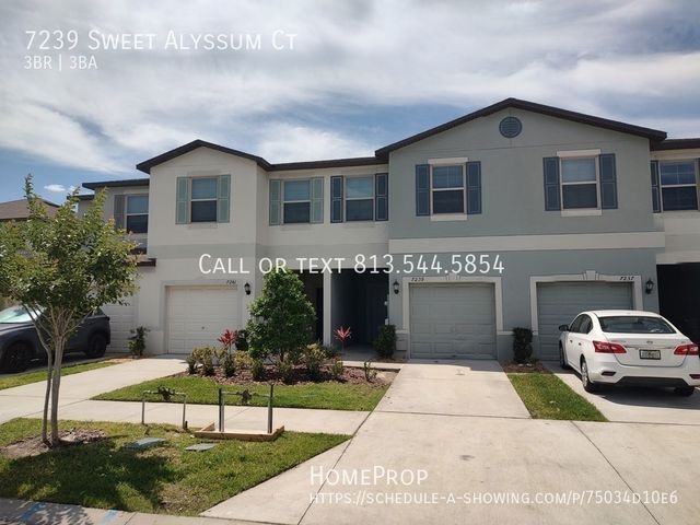 7239 Sweet Alyssum Ct, Tampa, FL 33619