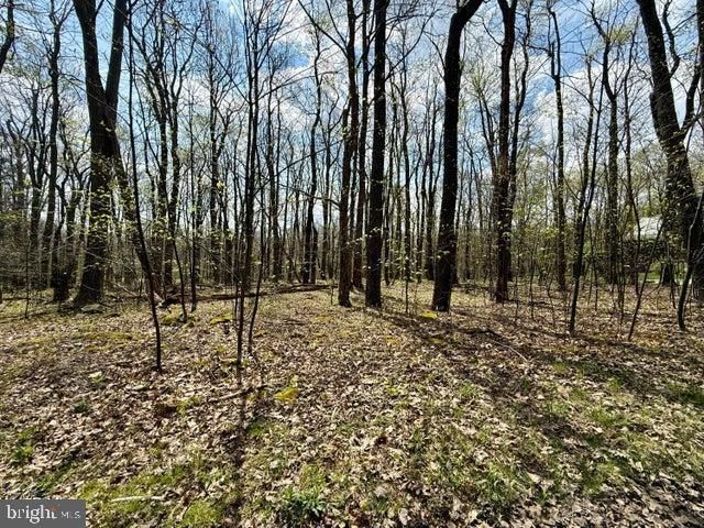 13 Timberman Rd, Claysburg, PA 16625