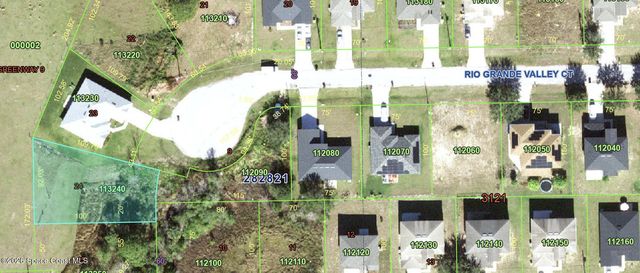 2541 Rio Grande Valley Ct, Kissimmee, FL 34759