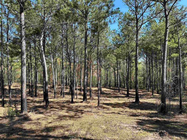 LOT 6 Old Camp Ln., Salters, SC 29590