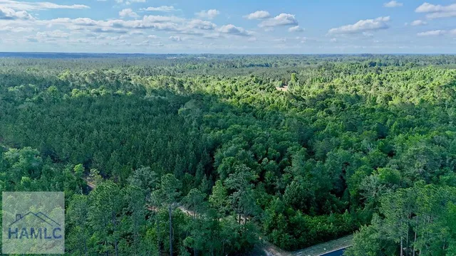 3 Oscar Tippins Rd, Baxley, GA 31513