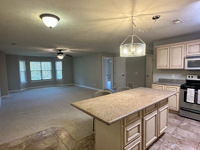 214 Rejoice Ln #105-B, Blue Eye, MO 65611